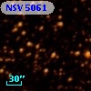 NSV  5061