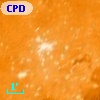 CPD-58  2614