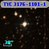 TYC 3176-1101-1