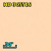 HD 305516