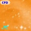 CPD-59  2613