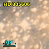 HD 305606