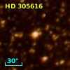 HD 305616