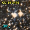 CD-59  3442