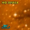 HD 305614