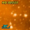 HD 305537