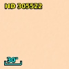 HD 305522
