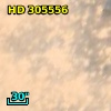 HD 305556