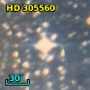 HD 305560