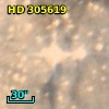 HD 305619