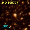 HD 305777