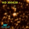 HD 305628