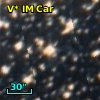 V* IM Car