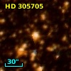 HD 305705