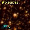 HD 305782