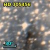 HD 305456