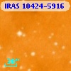 IRAS 10424-5916