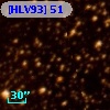 [HLV93]  51