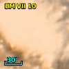BM  VII  10