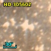 HD 305602