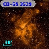 CD-58  3529