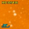 HD 305436