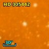 HD 305442