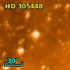 HD 305448