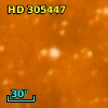 HD 305447