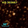 HD 303667