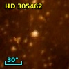 HD 305462