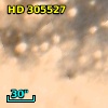 HD 305527
