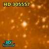 HD 305557