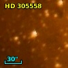 HD 305558