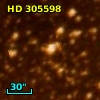 HD 305598