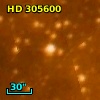 HD 305600