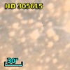 HD 305615