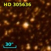 HD 305636