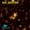 HD 305709