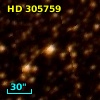 HD 305759