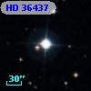 HD  36437