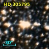 HD 305795
