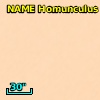 NAME HOMUNCULUS NEBULA