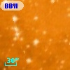 BBW 25500