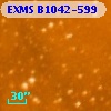 EXMS B1042-599