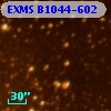 EXMS B1044-602