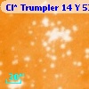 Cl* Trumpler   14      Y     533