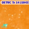 DETWC Tr 14 J104339.5-593146