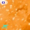 DETWC Tr 14 J104344.8-593416