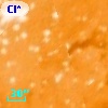 DETWC Tr 14 J104346.8-593356
